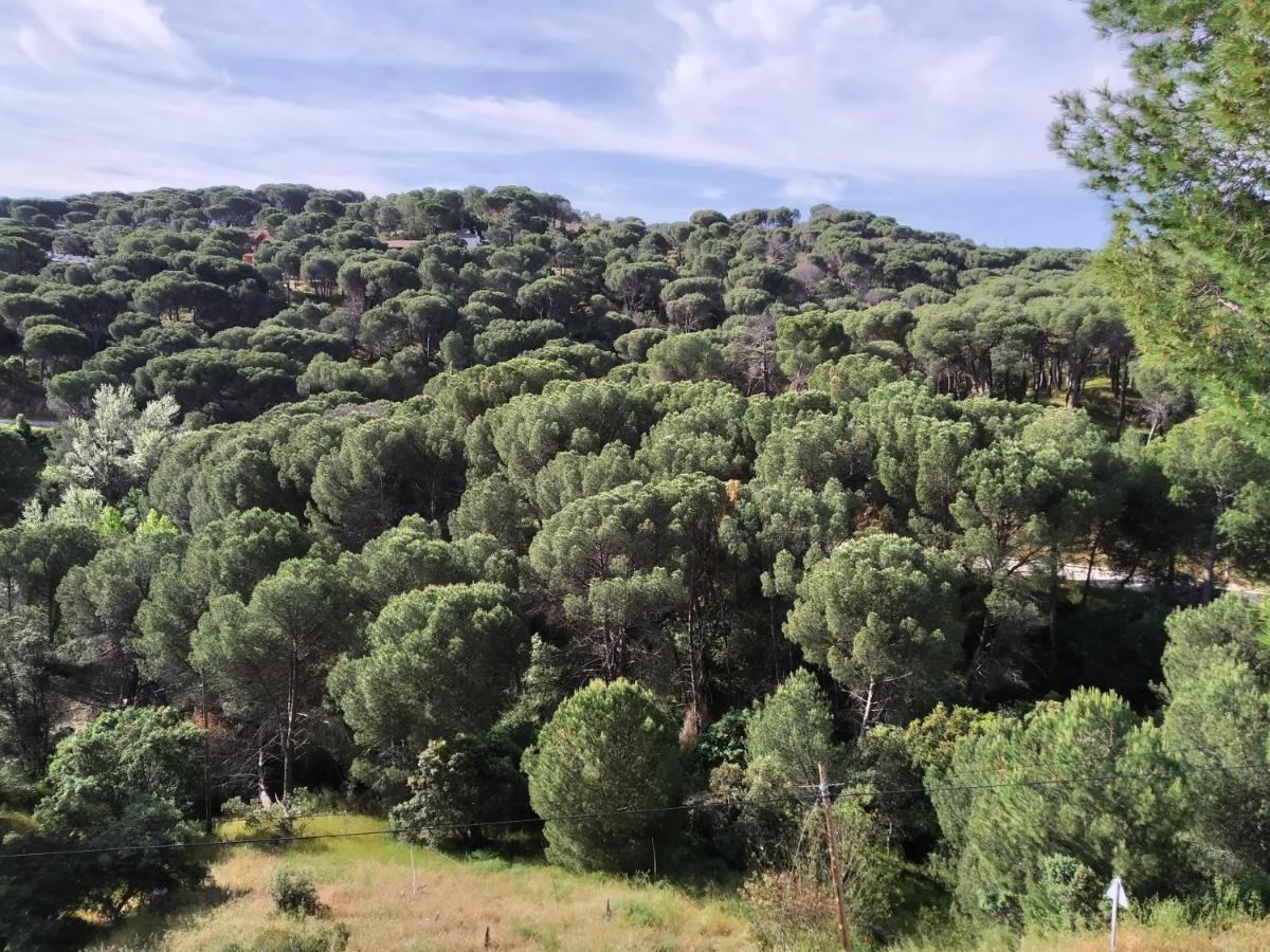 Apartamento El Mirador De Bacha San Martín de Valdeiglesias Exterior foto