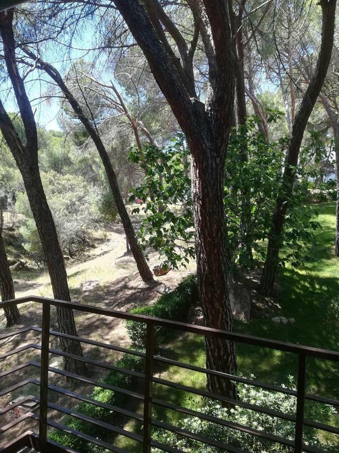 Apartamento El Mirador De Bacha San Martín de Valdeiglesias Exterior foto